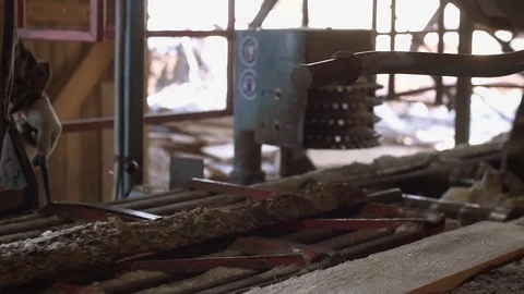 Carpenter operates industrial saw machine with timber log Stock Footage 85211453