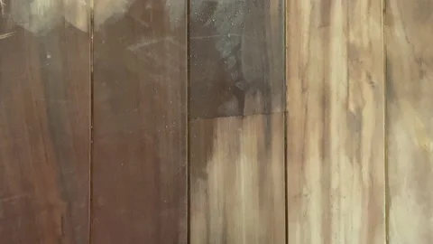 Carpenter performs repair work on grinding parquet floors Stock-Footage 159239389