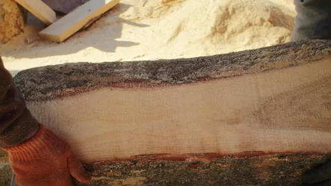 Carpenter Preparing to Cut Raw Timber Log Stock Footage 264929211