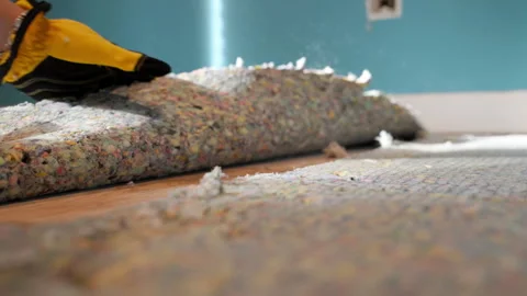 Carpenter in protective gloves cuts old padding insulation during carpet Stock Footage 318993072