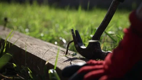 Carpenter removing nails from wood, preparing wood for restoration Video stock 278265125