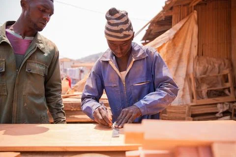 A carpenter taking measurements of a plank while working while his colleagu.. Stock Photos