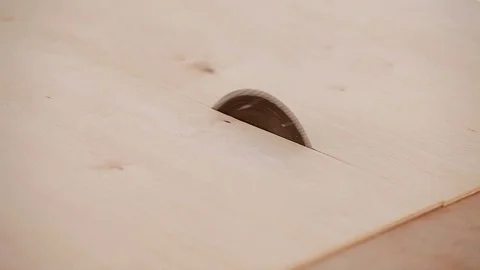 Carpenter Using Circular Saw.The worker makes a cut on a circular saw. Stock Footage 120534526