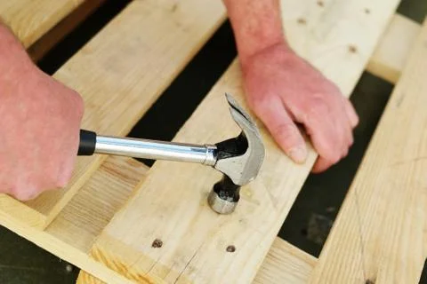 Carpenter using a claw hammer Stock Photos
