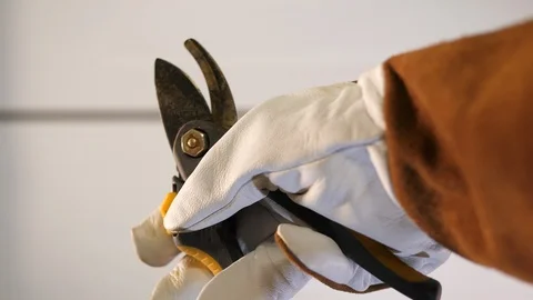 Carpenter worker cuts wire with heavy duty cable Cutters Stripper. POV. Stockbeeldmateriaal 126337877