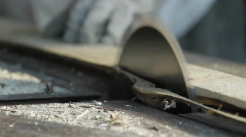 Carpenter working with circular blade saw Vidéo 38267265