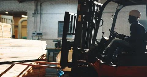 Carpentry, forklift or man in workshop with timber, stock control or unloading Stock Photos