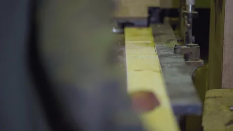 Carpentry Industry Worker Loads Plank Onto Industrial Production Conveyor Line Stock Footage 248559685
