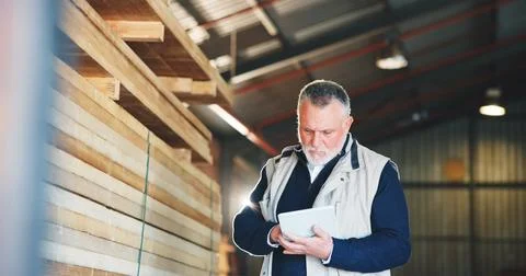Carpentry, review or man in workshop with tablet, preparing order or stock audit Stock Photos