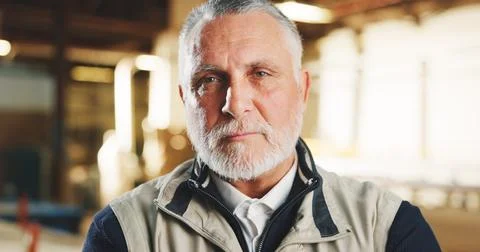 Carpentry, serious or man in workshop with portrait, handyman or about us in Stock Photos