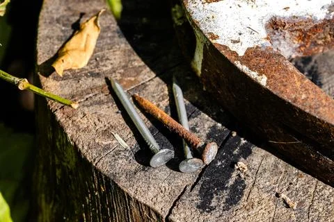 Carpentry Tools: Rusty Hammer and Nails Close-Up. Contrast of Old and New: .. Stock Photos