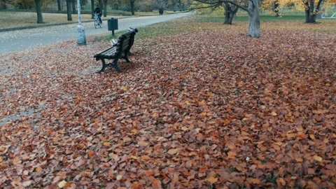 Carpet of autumn leaves by an empty bench with a biker passing by Видео 144910221
