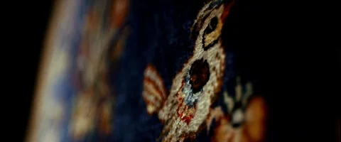 Carpet Bird Stock Footage 91745787