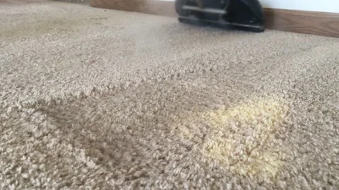 Carpet Cleaning Up Close  Stockbeeldmateriaal 96404390