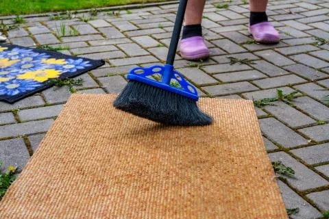 Carpet cleaning from dust. Stock Photos
