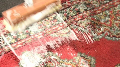 Carpet Cleaning Stock Footage 687817