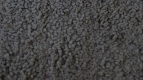 Carpet Closeup Stock Photos