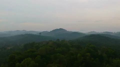 Carpet cloud in Malaysia Stock Footage 141228234