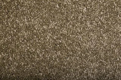 Carpet covering background. Pattern and texture of dark green carpet. Copy space Stock Photos