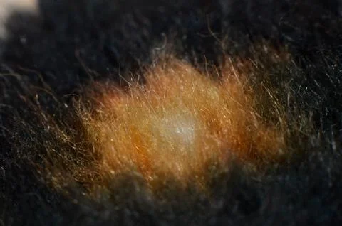 Carpet made of soft material, in the form of a collection of strands of yarn. Stock Photos