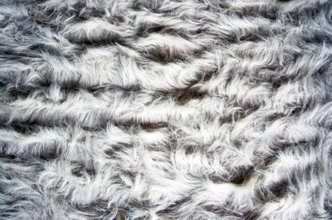 Carpet Stock Photos