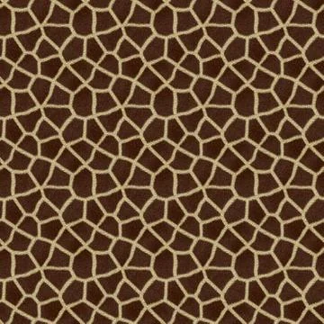 Carpet 스톡 사진