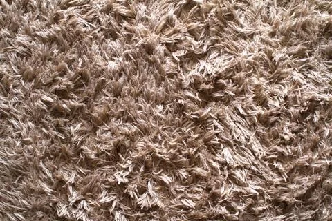 Carpet Stock Photos