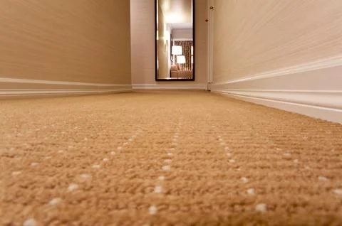 Carpet Фото