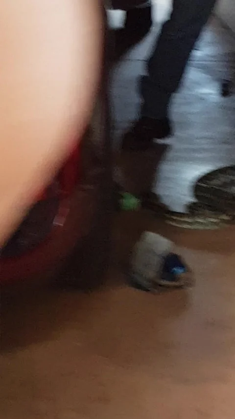 Carpet Python with a Full Belly, Brisbane, Queensland, Australia - 01 Jan 1970 Vidéo 205355871