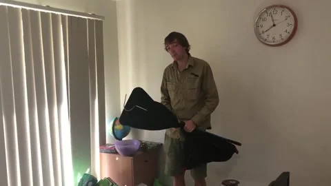 Carpet Python Retrieved From Children's Play Room, Lake Macdonald, Queensland, A Stockbeeldmateriaal 205245680