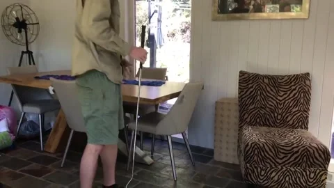 Carpet Python Under Table, Flaxton, Queensland, Australia - 30 Aug 2018 스톡 동영상 205244241