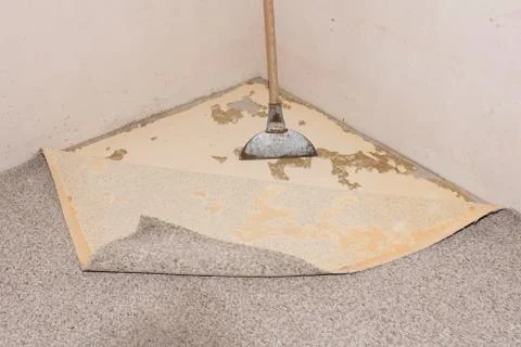 Carpet removal Stock Photos