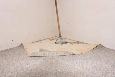 Carpet removal Stock Photos
