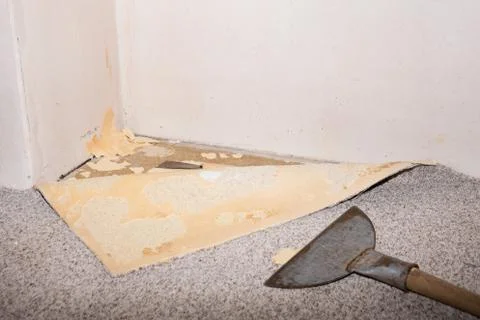 Carpet removal Stock Photos