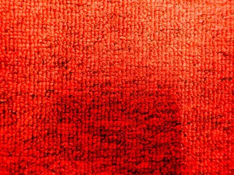 Carpet surface Фото