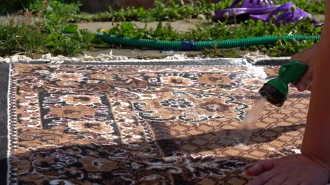 Carpet washing manually. Close-up Stock Footage 201463624