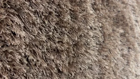 Carpet Wool Background Slider Shot Stock Footage 207772212