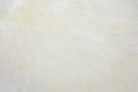 Carpet wool carpet Stock Photos