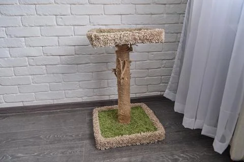 Carpeted cat scratching post with green base in bright room near window Stock Photos