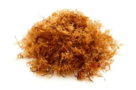 Carrageen moss Stock Photos