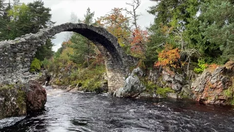 Carrbridge Stone Bridge Stock Footage 167919119