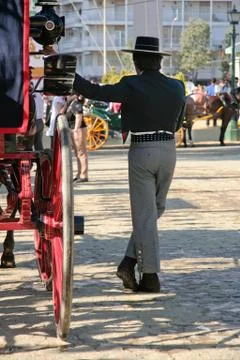 Carriage driver Stock Photos