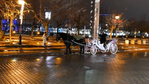 Carriage during winter Stockbeeldmateriaal 125548428