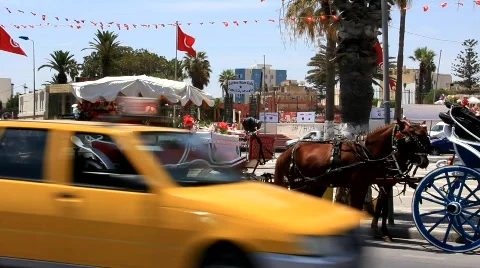 Carriage Stock Footage 789724