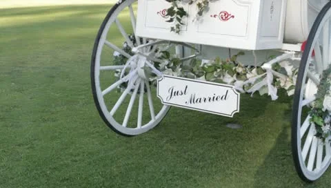 Carriage 스톡 동영상 10727289