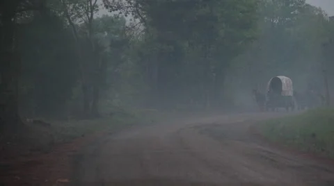 Carriage going down road Stock-Footage 39987754