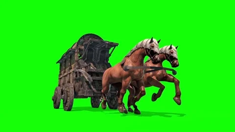 Carriage Horses Run Front Green Screen 3... | Stock Video | Pond5