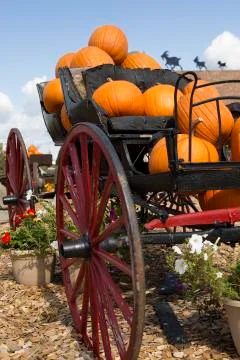 Carriage loaded with pumpkins Stock Photos