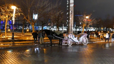 Carriage in the old montreal Stock Footage 125553606