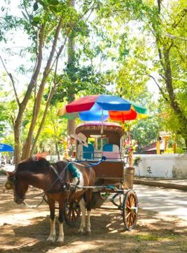 Carriage Stock Photos
